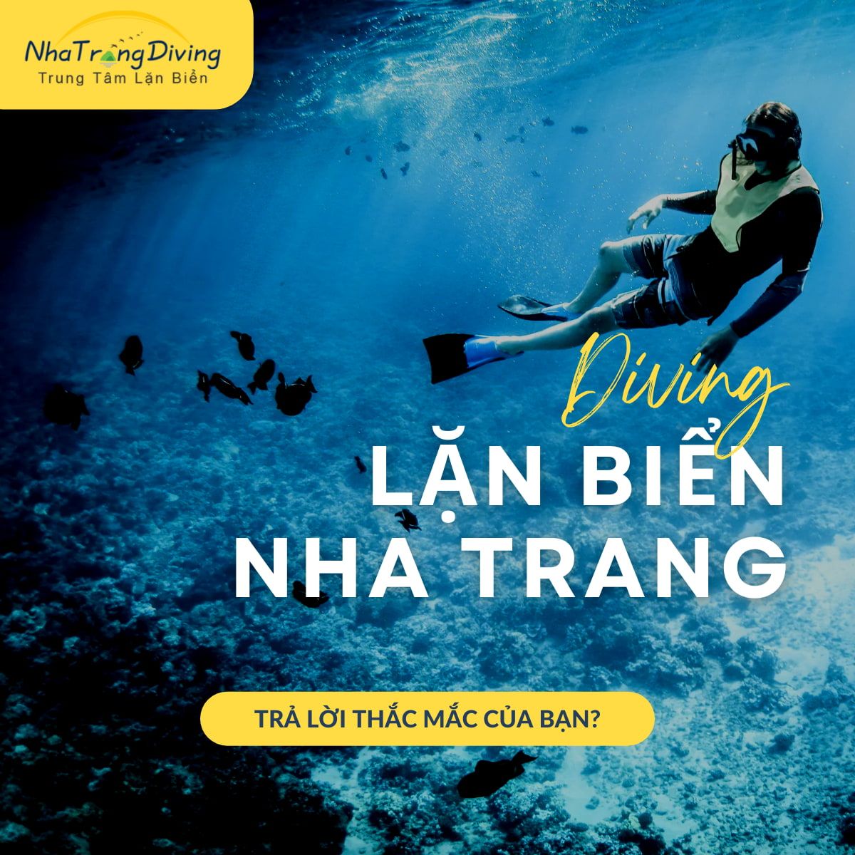 câu hỏi thường gặp lặn biển nha trang